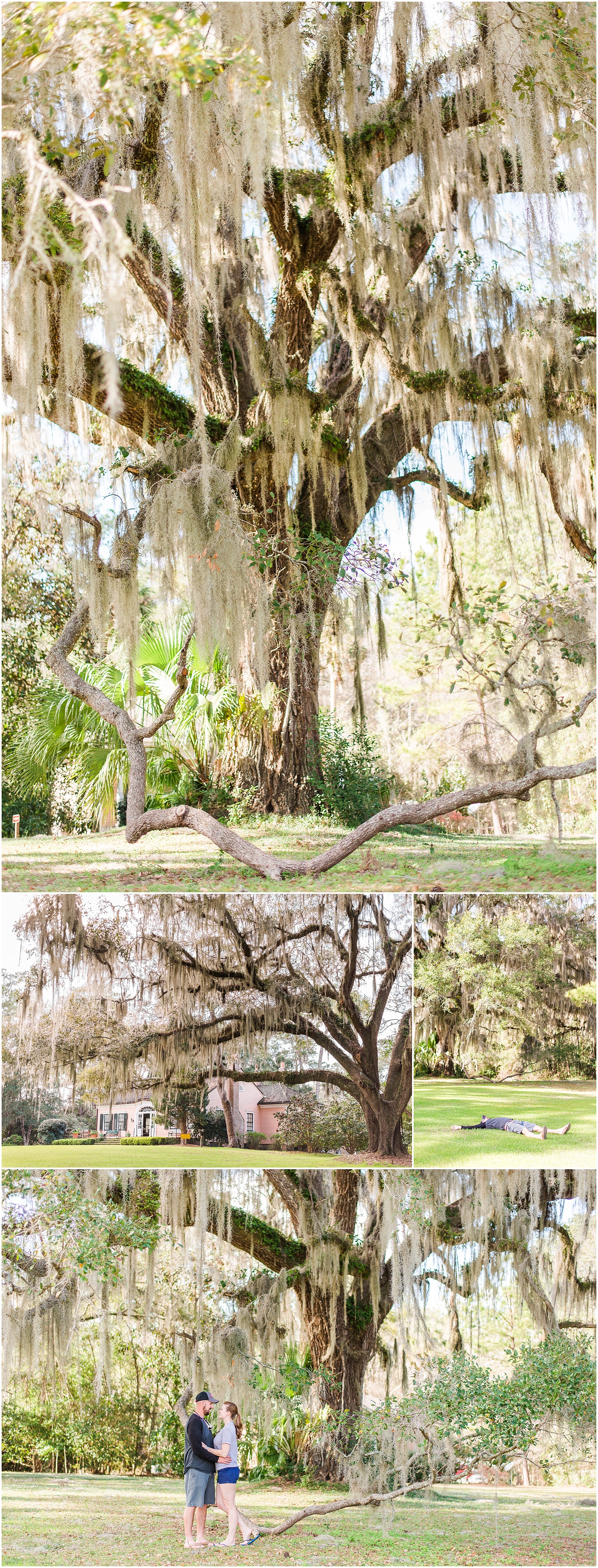 Alfred B. Maclay Gardens State Park | Best In Travel Tallahassee, FL