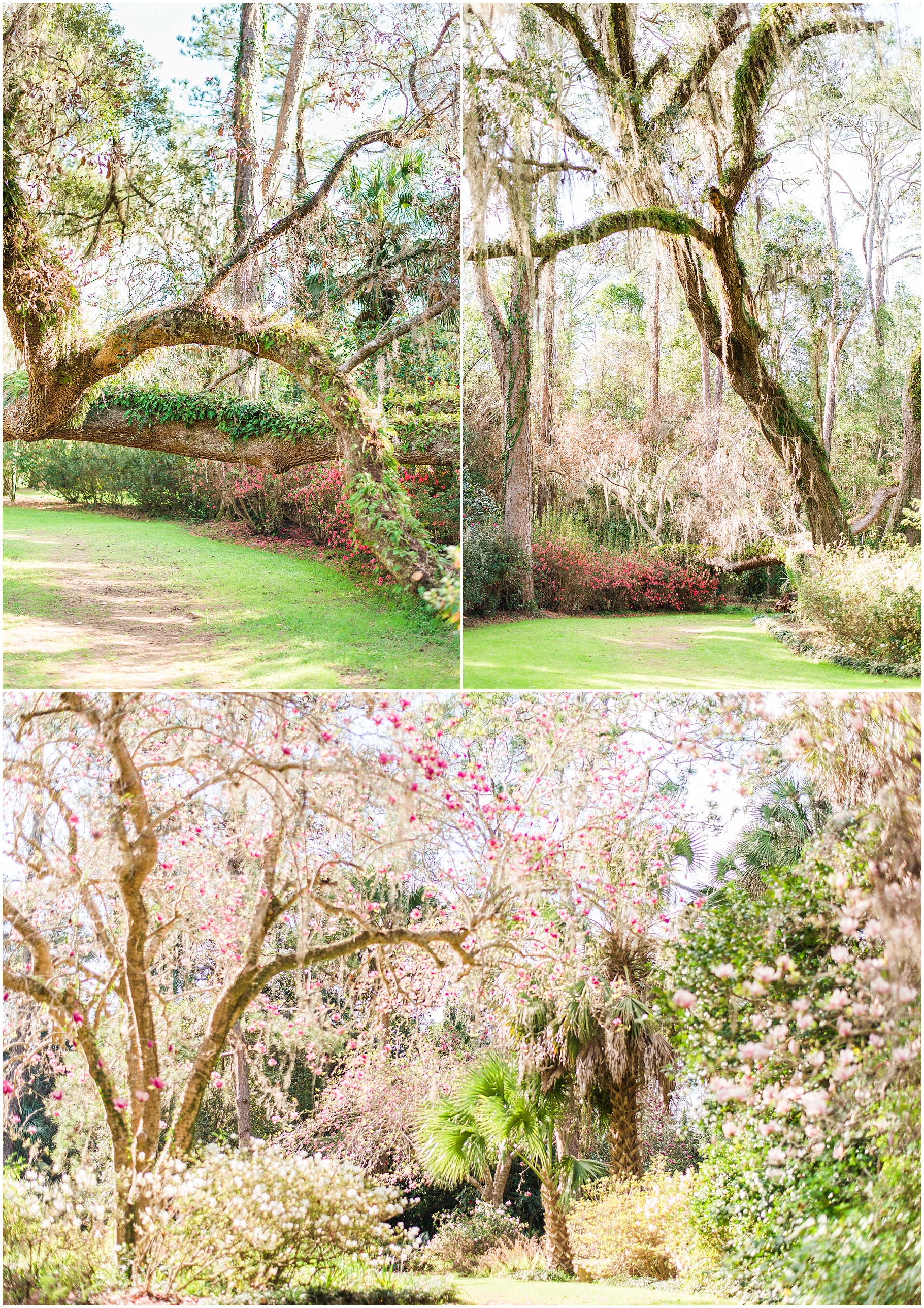 Alfred B. Maclay Gardens State Park | Best In Travel Tallahassee, FL